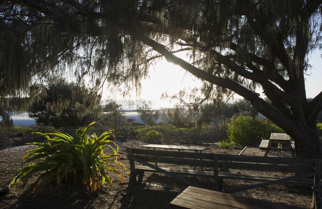 Couran Cove Resort South Stradbroke Island Εξωτερικό φωτογραφία